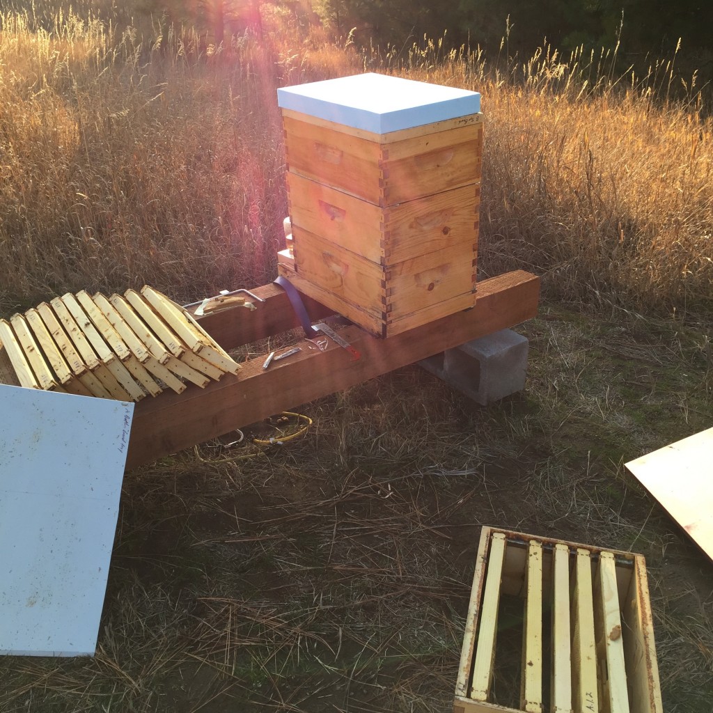 insulating bee hives