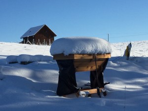 IMG_6465